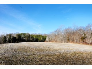 Tract 12 - REAL ESTATE AUCTION - 1,013 ACRES IN 21 TRACTS IN MARTIN COUNTY, INDIANA